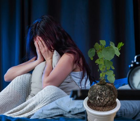 Điều trị bệnh mất ngủ bằng củ bình vôi có hiệu quả không?